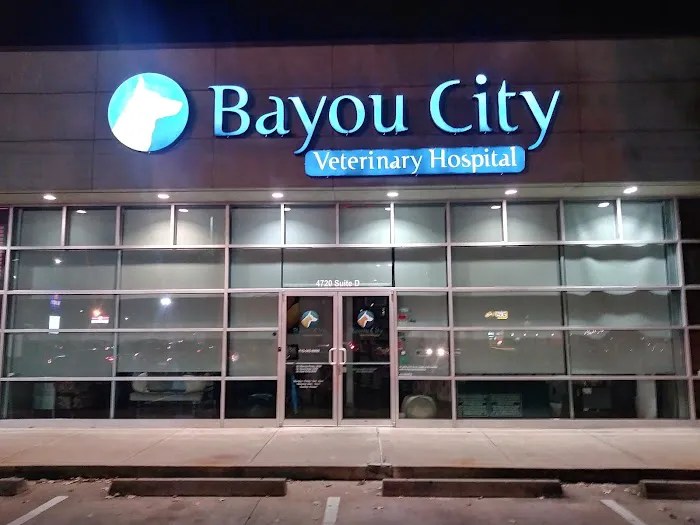 Bayou City Veterinary Hospital 12
