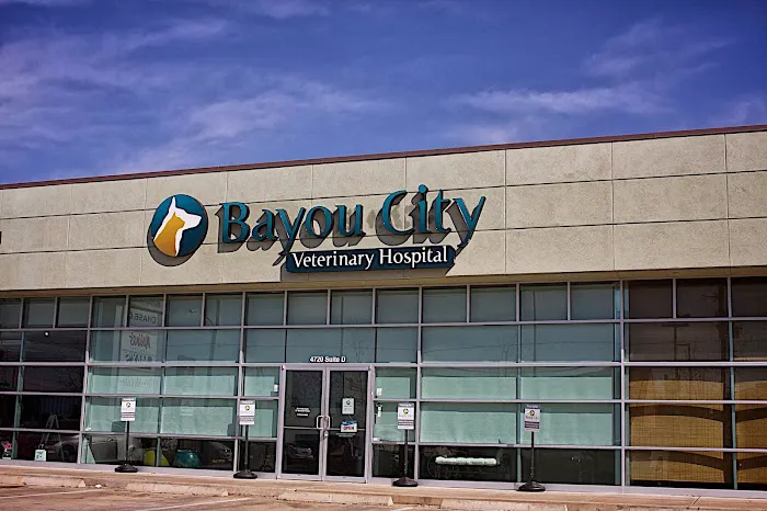 Bayou City Veterinary Hospital 12