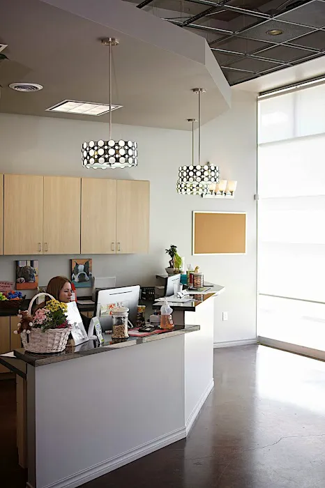 Bayou City Veterinary Hospital 12