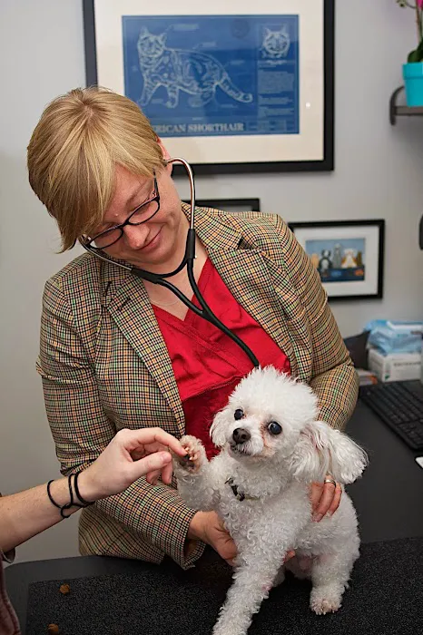 Bayou City Veterinary Hospital 12