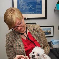 Bayou City Veterinary Hospital ico