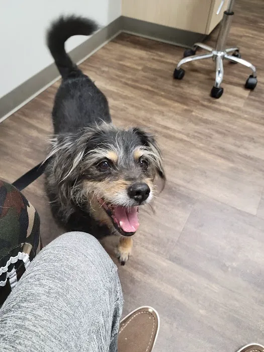 Bayou City Veterinary Hospital 12