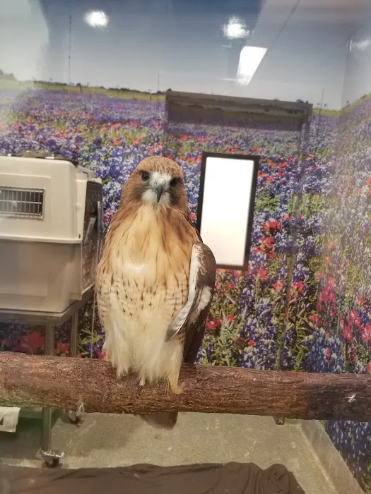 Houston SPCA's Wildlife Center 4