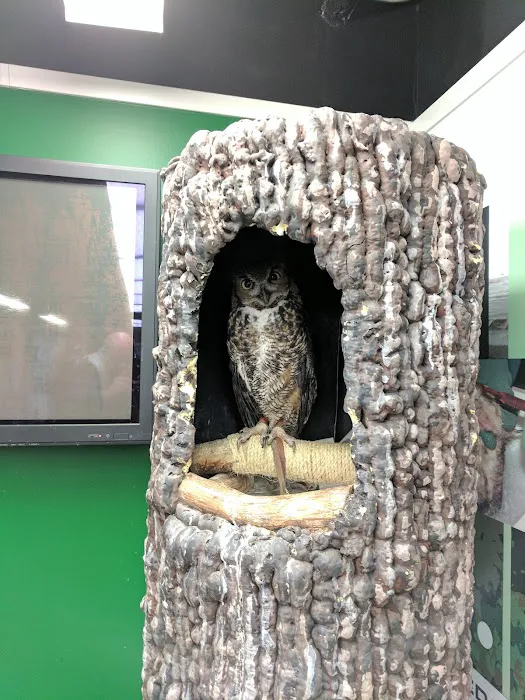 Houston SPCA's Wildlife Center 6