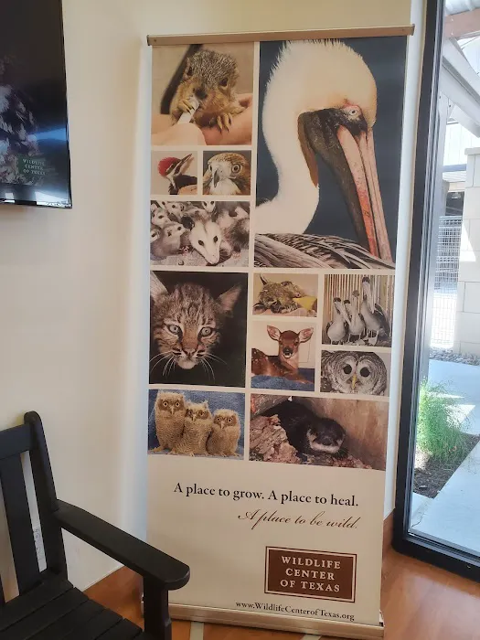 Houston SPCA's Wildlife Center 8