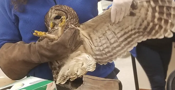 Houston SPCA's Wildlife Center 3