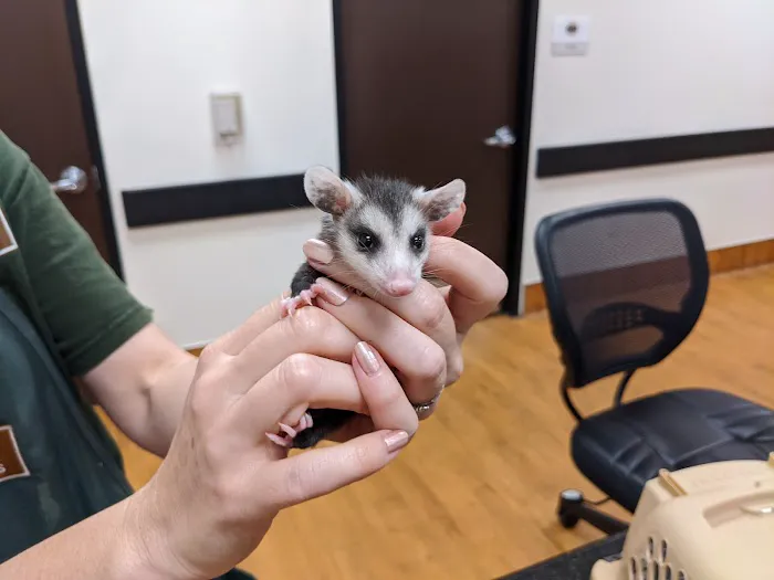 Houston SPCA's Wildlife Center 1