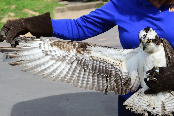 Houston SPCA's Wildlife Center 10