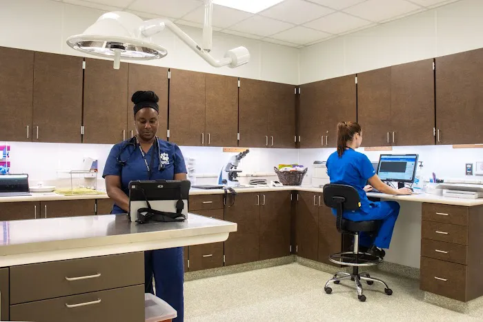 Houston SPCA Pet Wellness Clinic 12