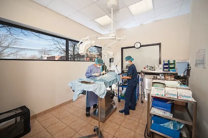 North Shore Animal Hospital 2
