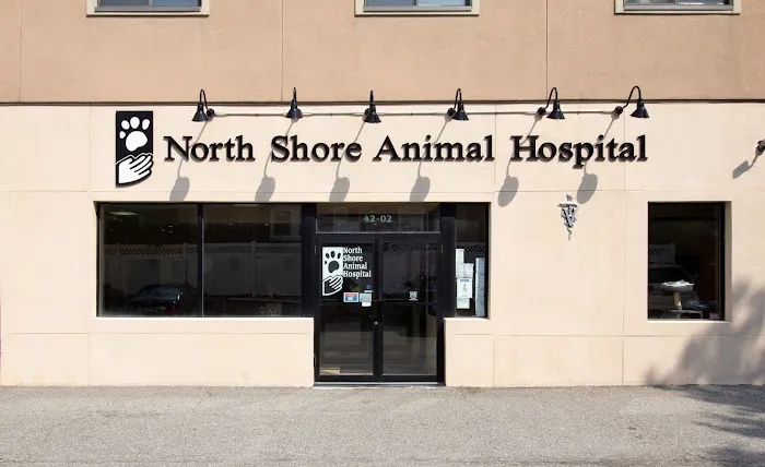 North Shore Animal Hospital 5