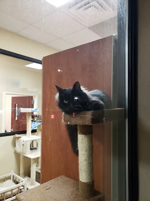 North Shore Animal Hospital 7