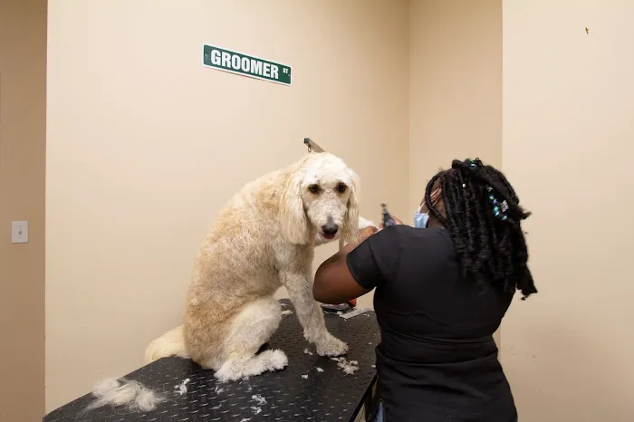North Shore Animal Hospital 3