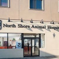 North Shore Animal Hospital ico