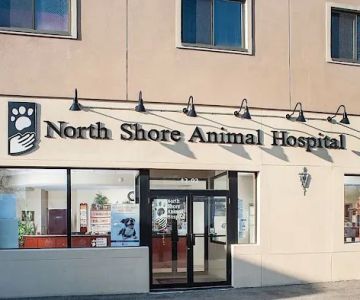 North Shore Animal Hospital