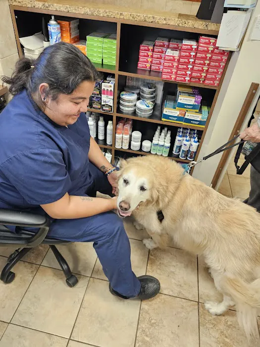 Premier Veterinary Medical Group - Bayside 3