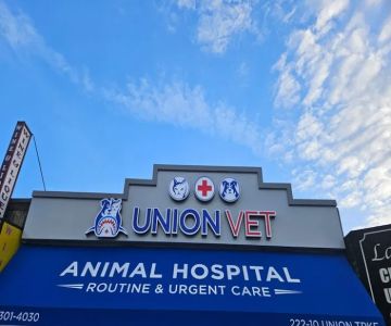 UNION VET