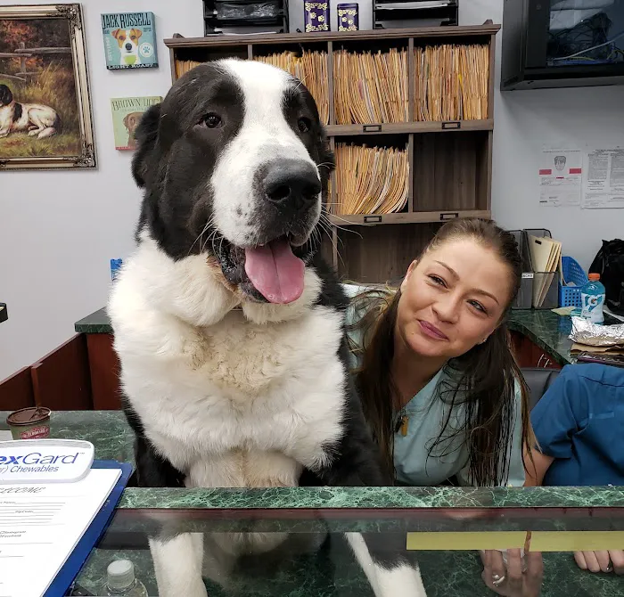 Kew Gardens Animal Hospital 12