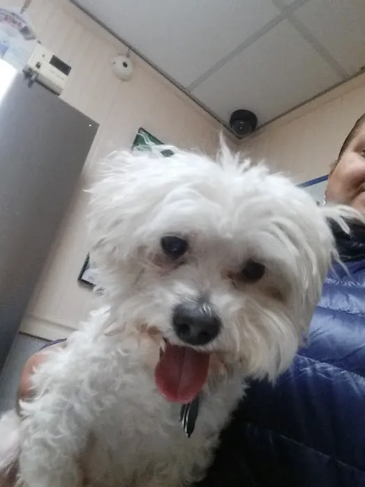 Lefferts Animal Hospital 12
