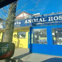 Lefferts Animal Hospital ico