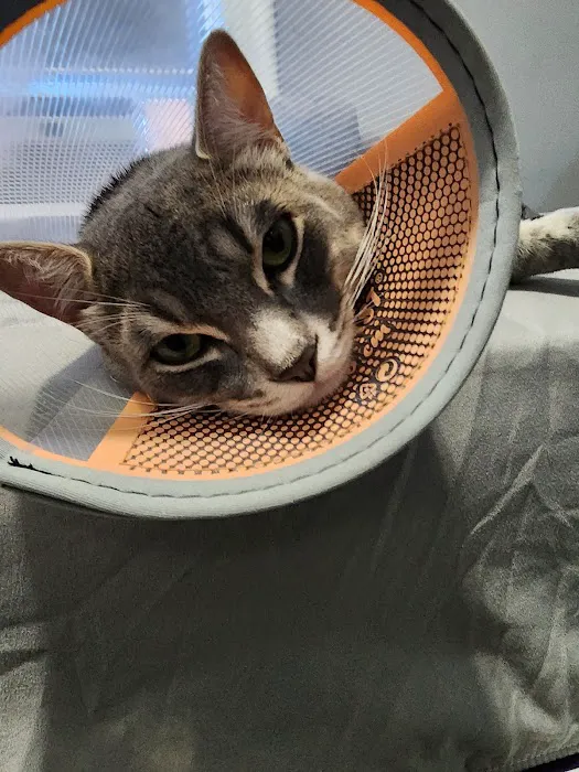 Lefferts Animal Hospital 12