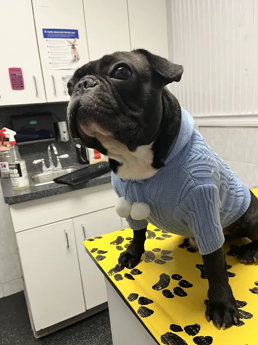 Lefferts Animal Hospital 12