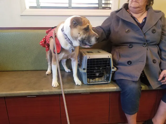 Veterinary Care Group - Whitestone 2