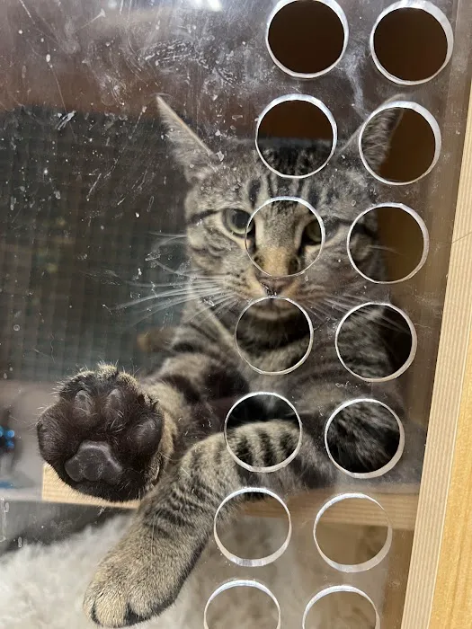 Vetco Vaccination Clinic 5