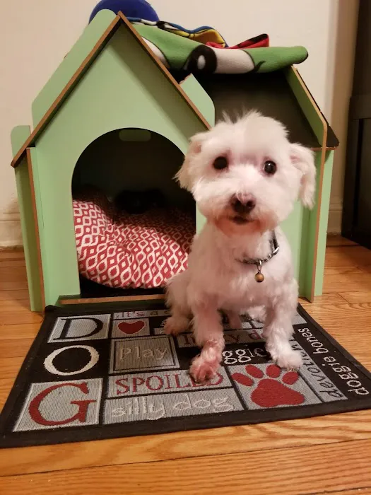 IAC Urgent Vets - Emergency and Urgent Care Animal Hospital 3