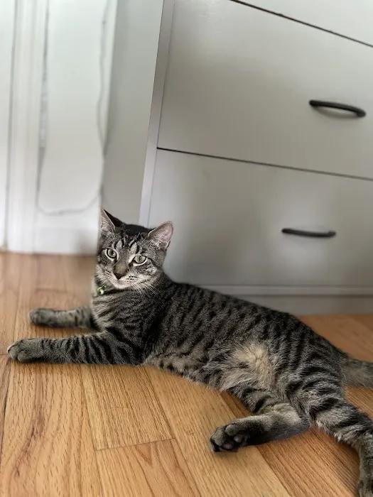 IAC Urgent Vets - Emergency and Urgent Care Animal Hospital 9