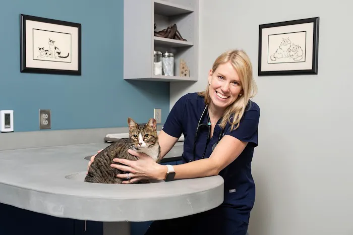 Ambassador Animal Hospital 7
