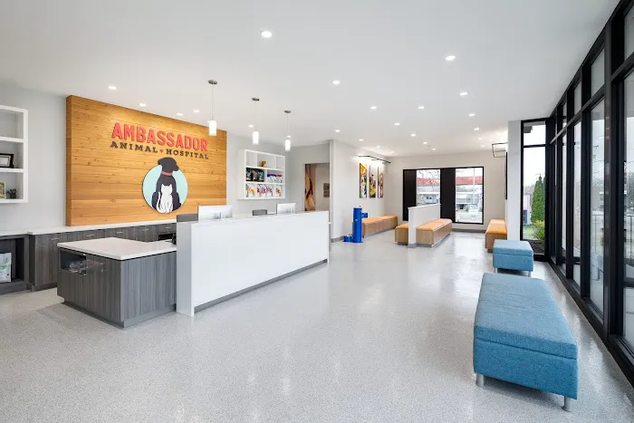 Ambassador Animal Hospital 1