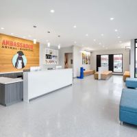 Ambassador Animal Hospital ico