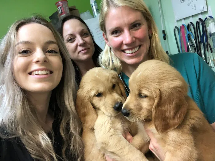 Ambassador Animal Hospital 5