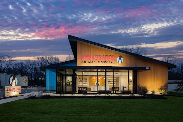 Ambassador Animal Hospital 4
