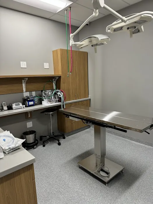 Partners Animal Hospital Greenville 7