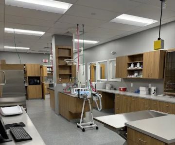 Partners Animal Hospital Greenville