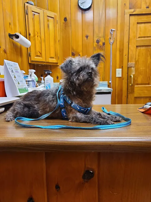 Richland Creek Animal Hospital 5
