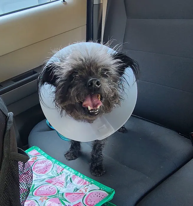 Richland Creek Animal Hospital 10