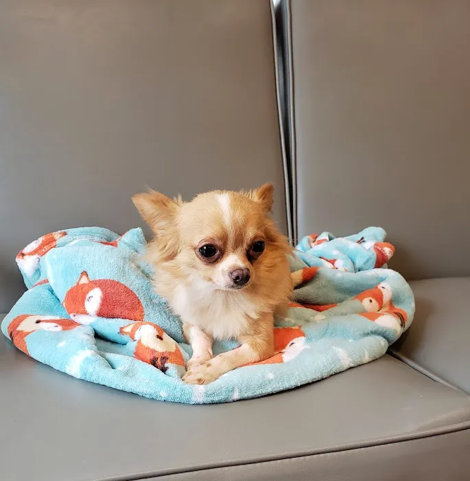 Frazier Animal Hospital 4