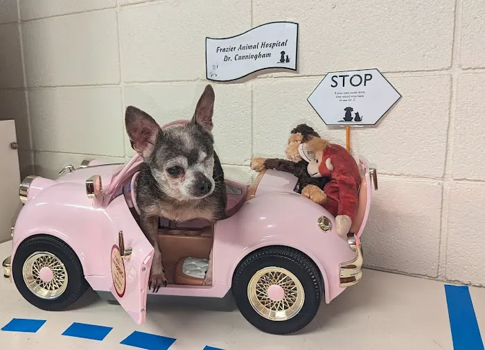 Frazier Animal Hospital 5
