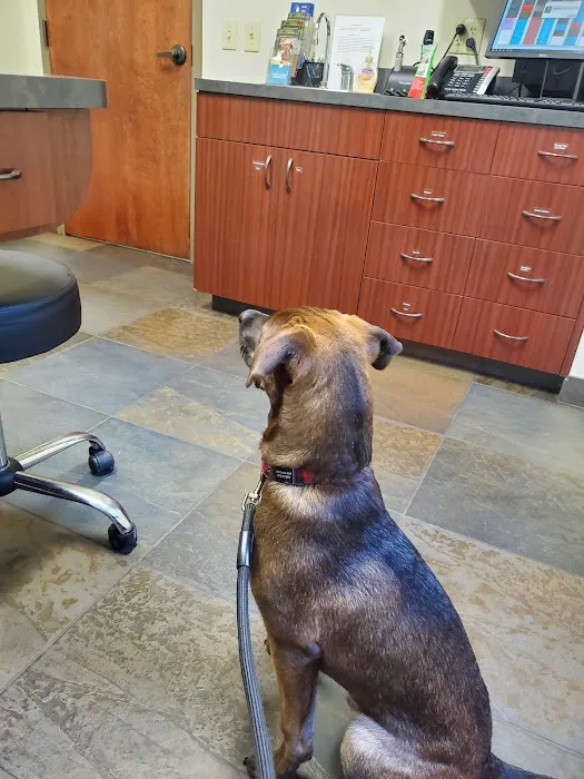 Cleveland Park Animal Hospital 4