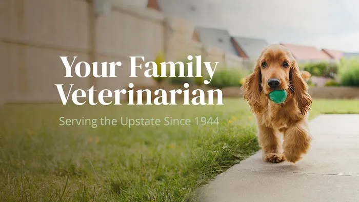 Cleveland Park Animal Hospital 1