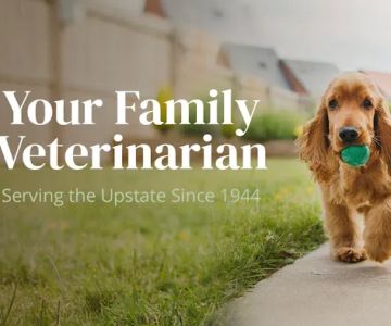 Cleveland Park Animal Hospital