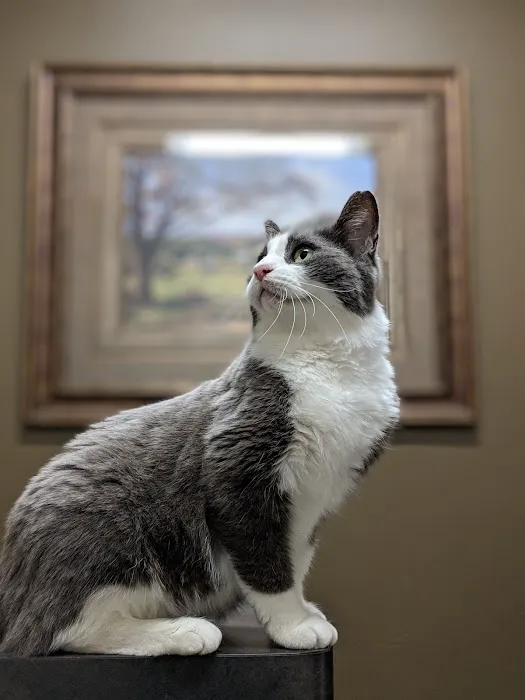 Cleveland Park Animal Hospital 6