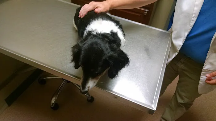 Sunrise Animal Hospital 8