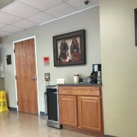 Sunrise Animal Hospital ico