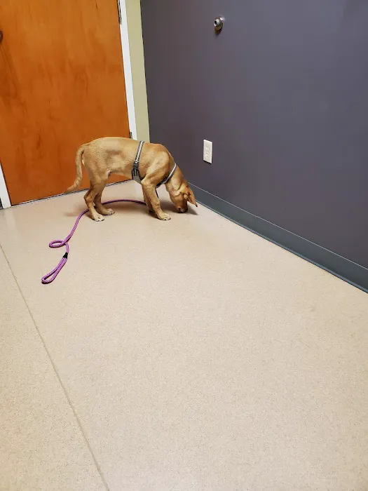 Sunrise Animal Hospital 5