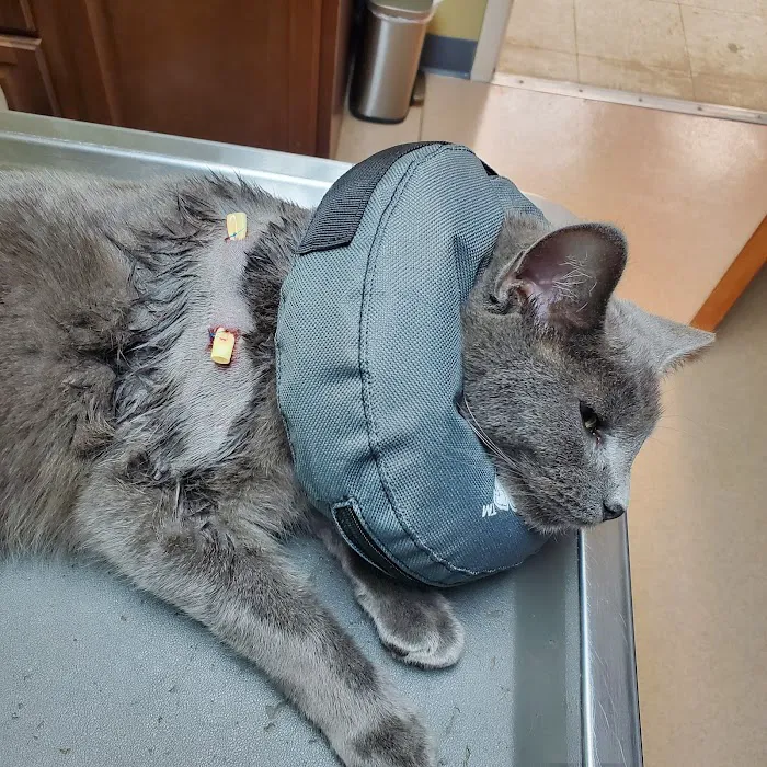 Sunrise Animal Hospital 10