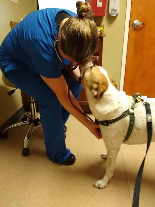 Sunrise Animal Hospital 9